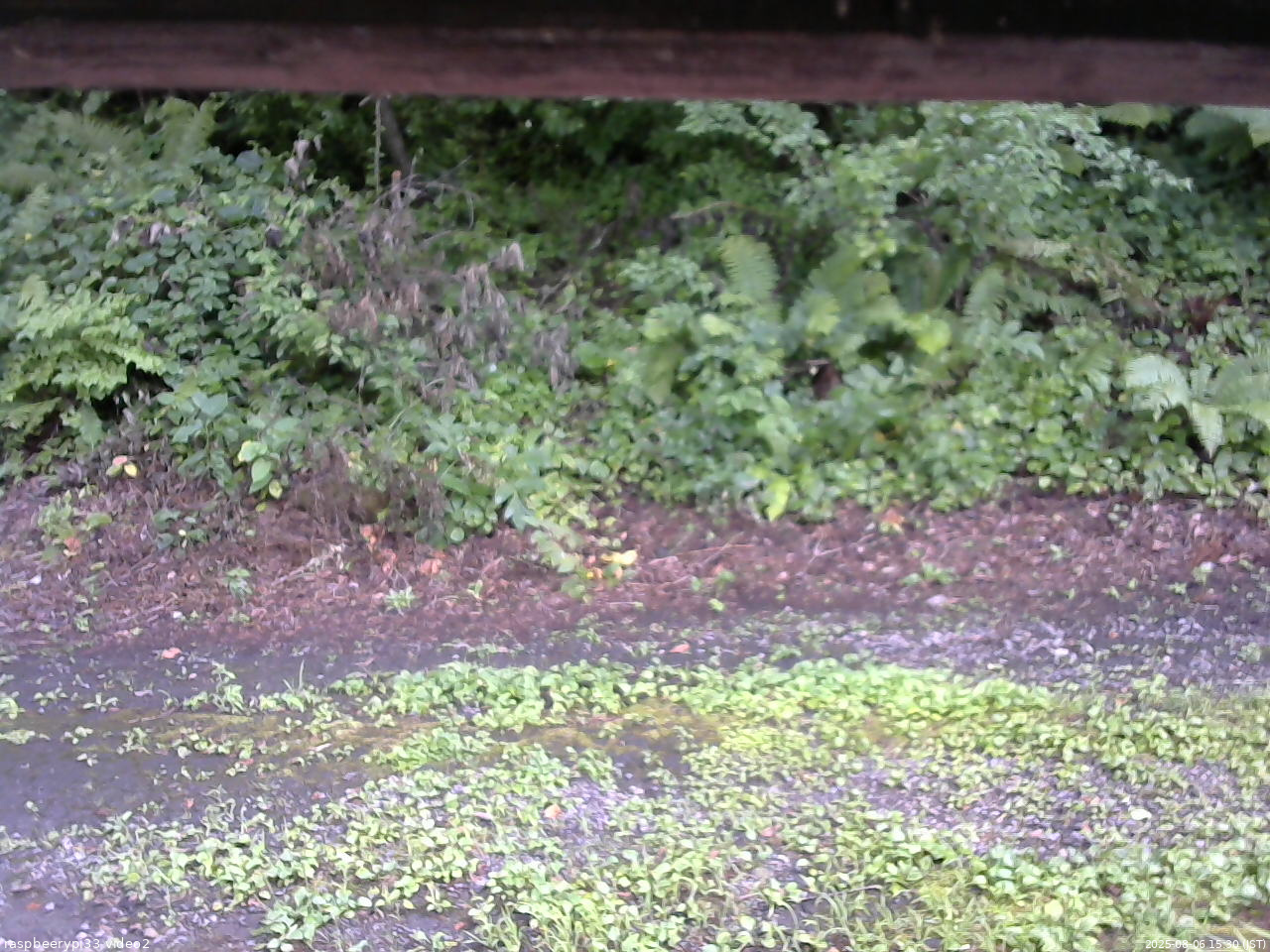 長野県菅平高原 ゆたか山荘 南側 2025/08/06 15:30