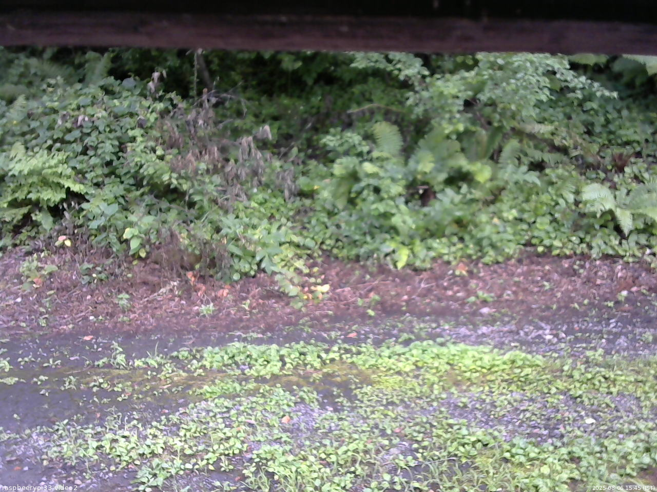 長野県菅平高原 ゆたか山荘 南側 2025/08/06 15:45