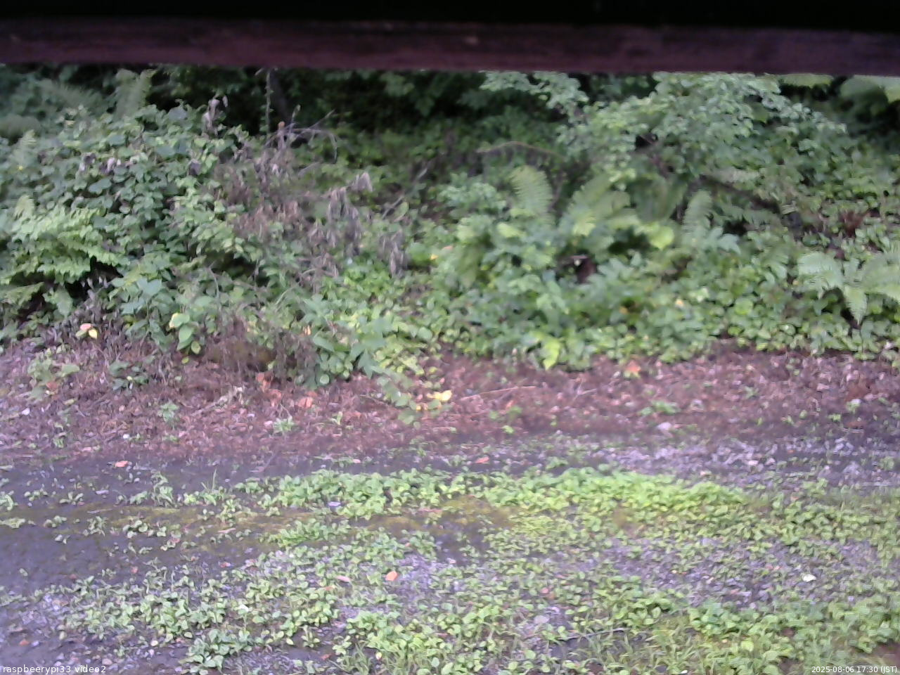 長野県菅平高原 ゆたか山荘 南側 2025/08/06 17:30