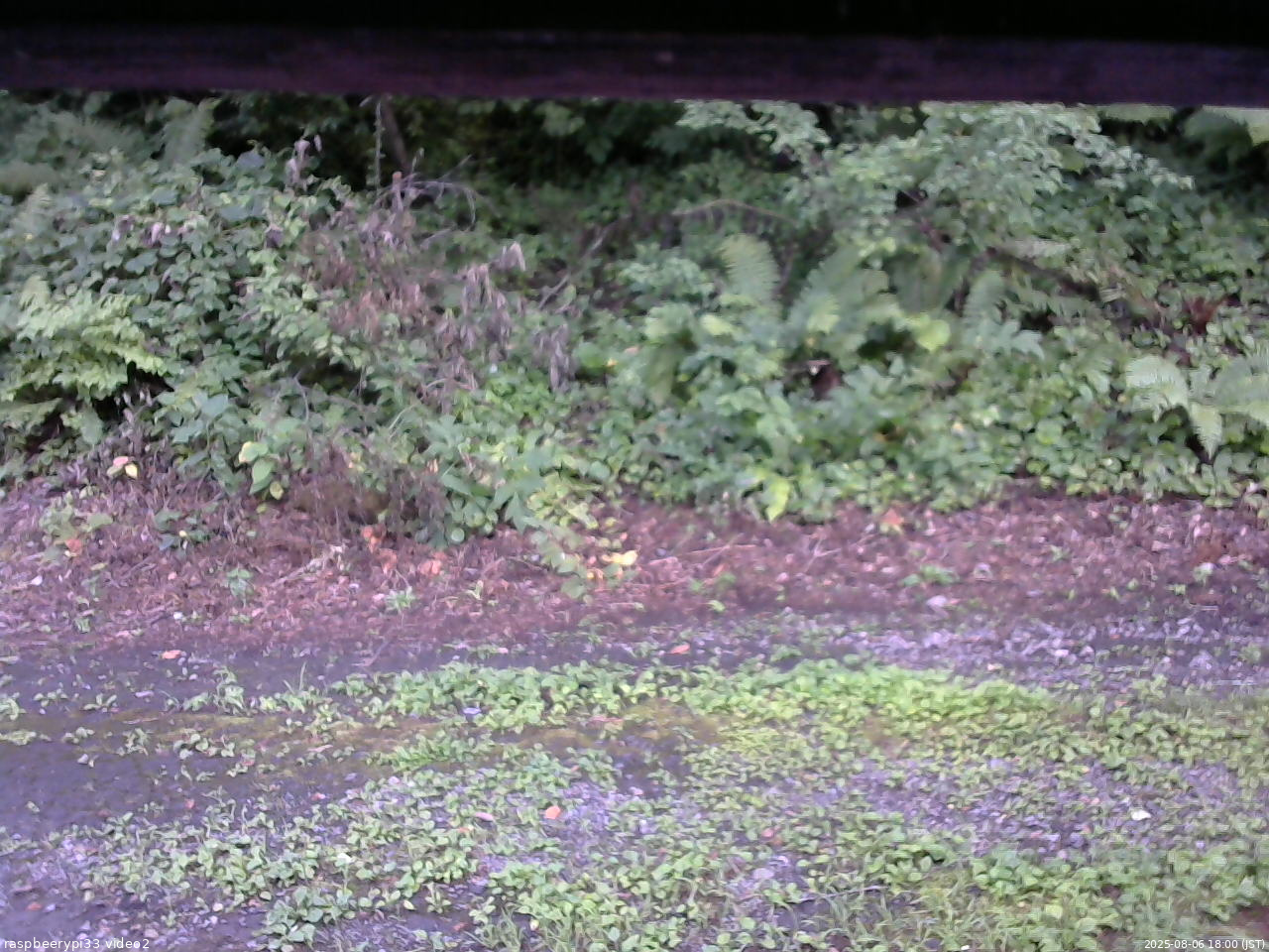 長野県菅平高原 ゆたか山荘 南側 2025/08/06 18:00