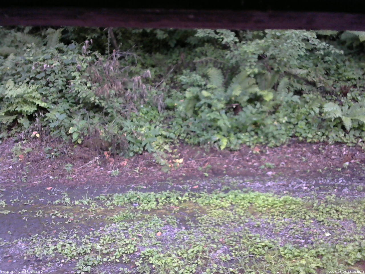 長野県菅平高原 ゆたか山荘 南側 2025/08/06 18:15