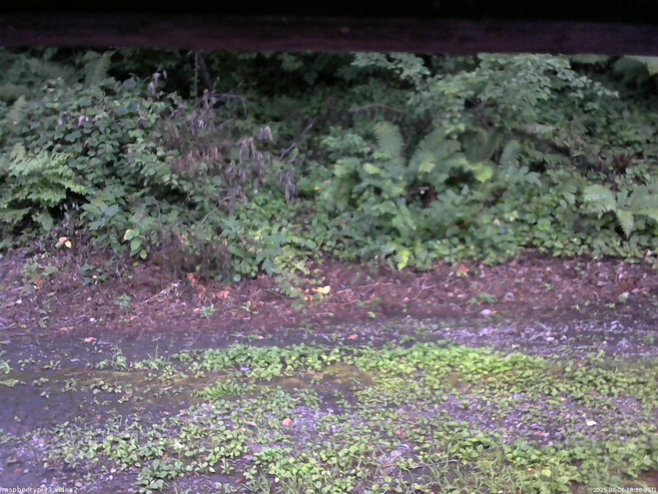 長野県菅平高原 ゆたか山荘 南側 2025/08/06 18:30