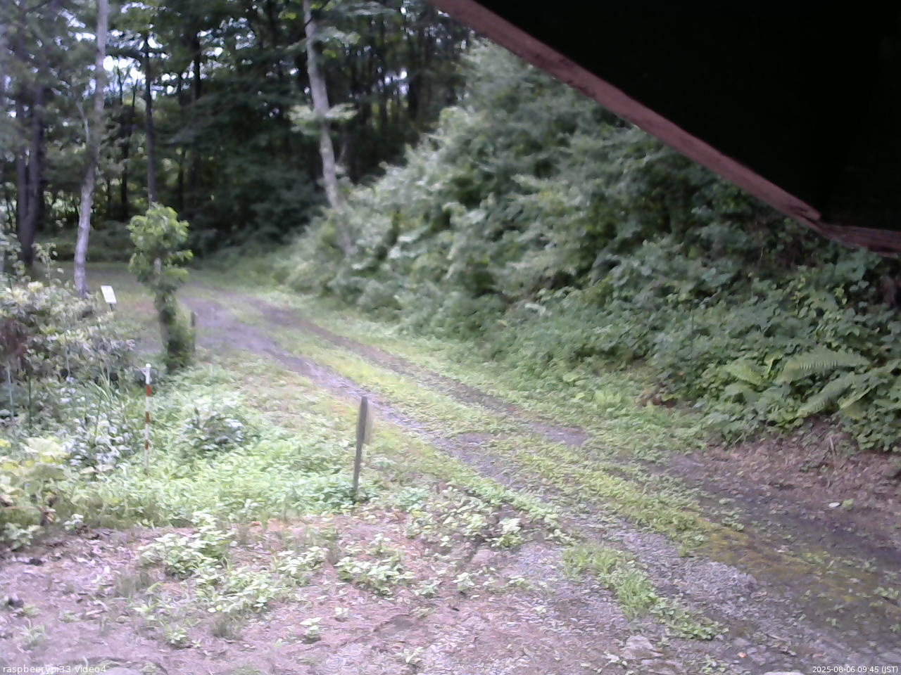 長野県菅平高原 ゆたか山荘 東側(坂下) 2025/08/06 09:45