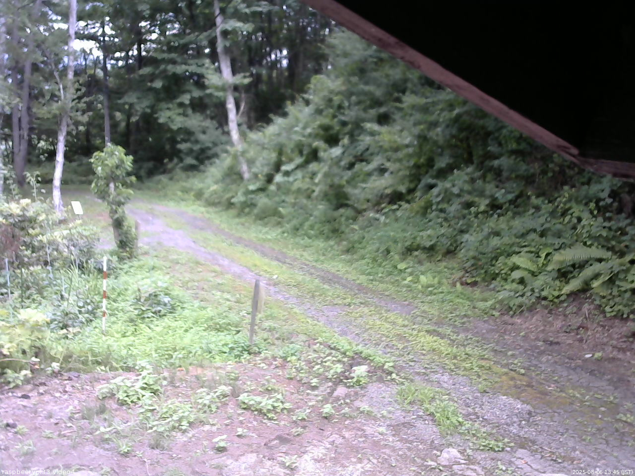 長野県菅平高原 ゆたか山荘 東側(坂下) 2025/08/06 13:45