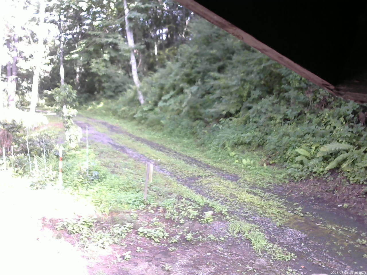 長野県菅平高原 ゆたか山荘 東側(坂下) 2025/08/06 15:30