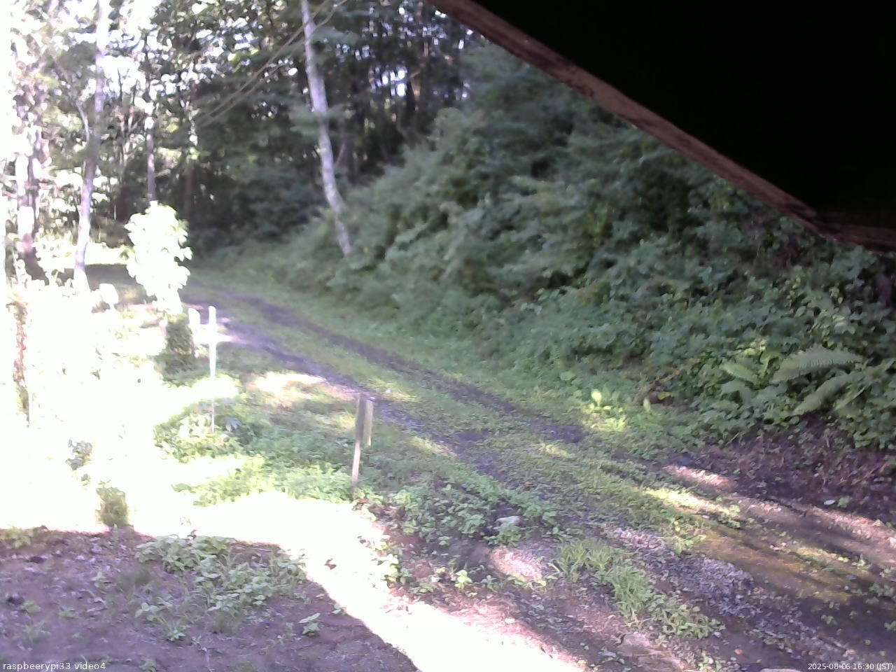 長野県菅平高原 ゆたか山荘 東側(坂下) 2025/08/06 16:30