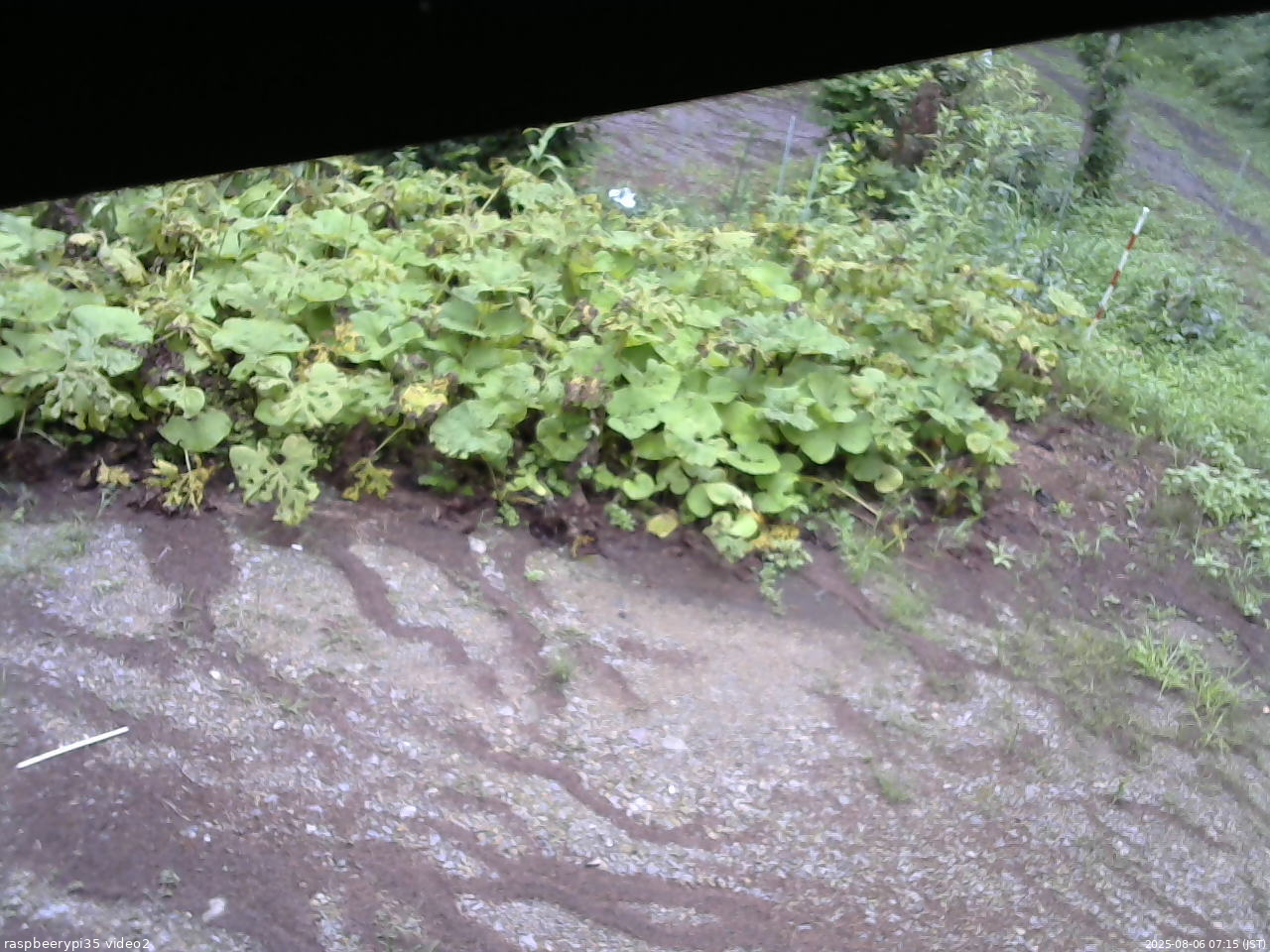 長野県菅平高原 ゆたか山荘 駐車場 2025/08/06 07:15