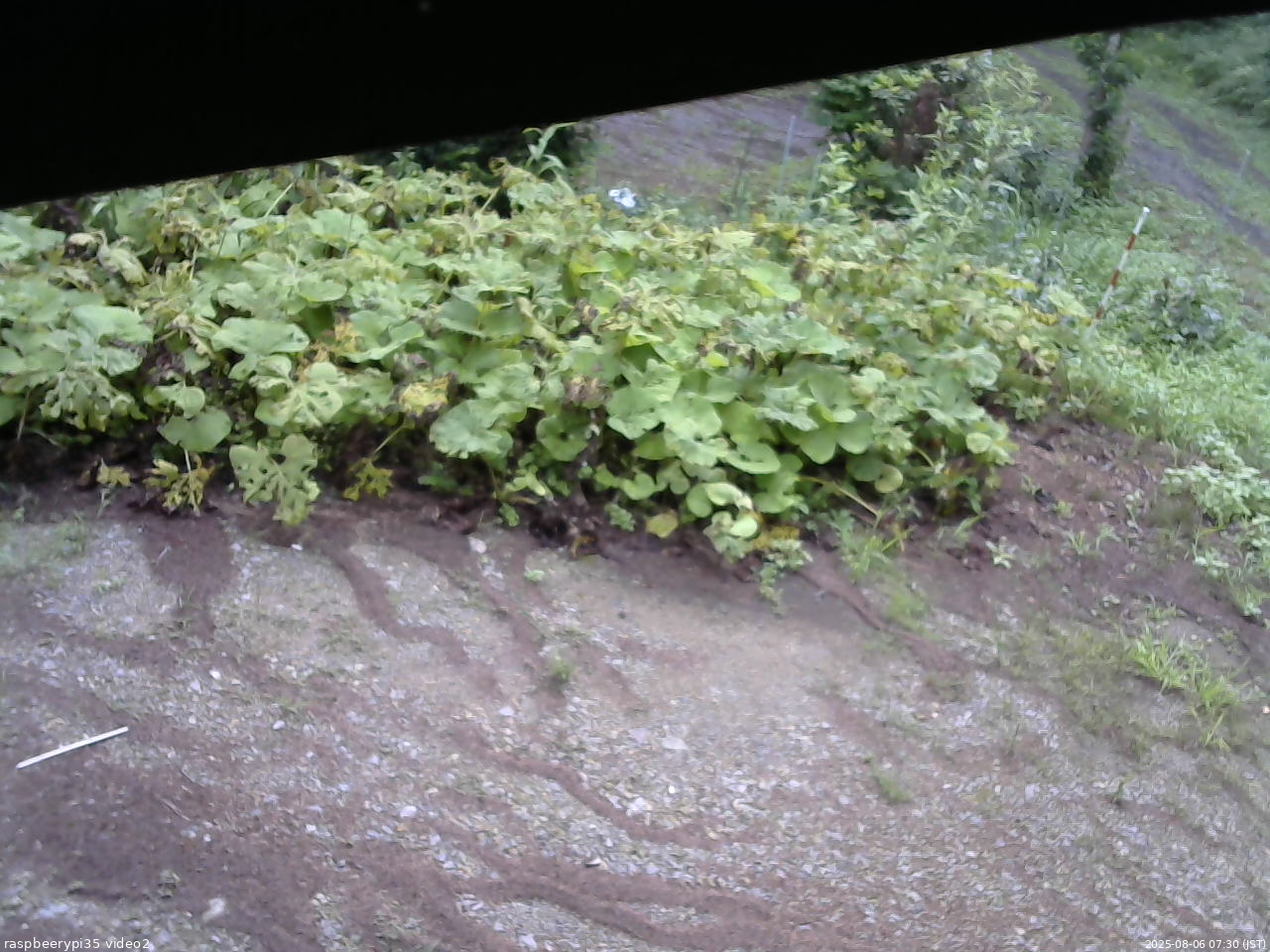 長野県菅平高原 ゆたか山荘 駐車場 2025/08/06 07:30