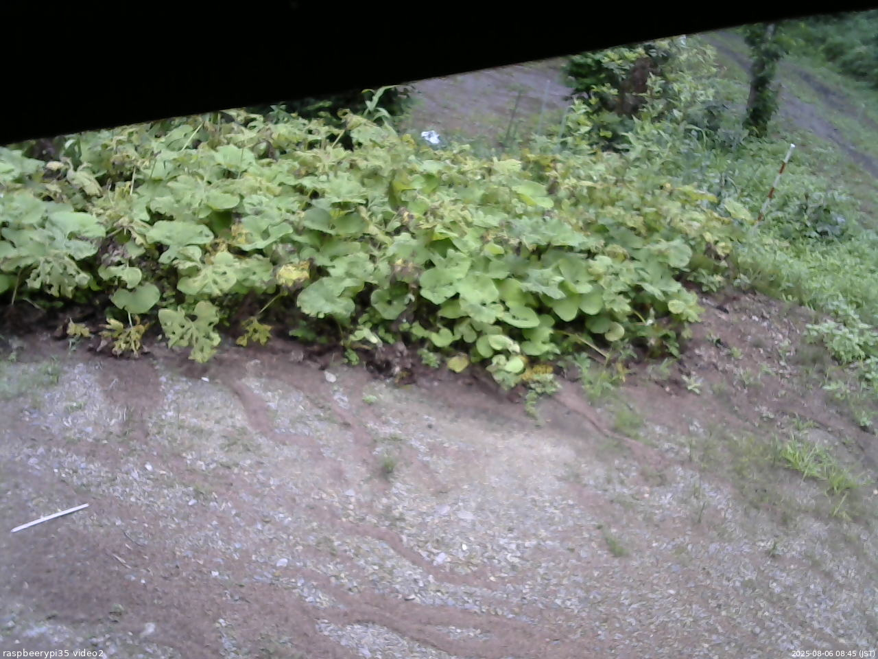 長野県菅平高原 ゆたか山荘 駐車場 2025/08/06 08:45