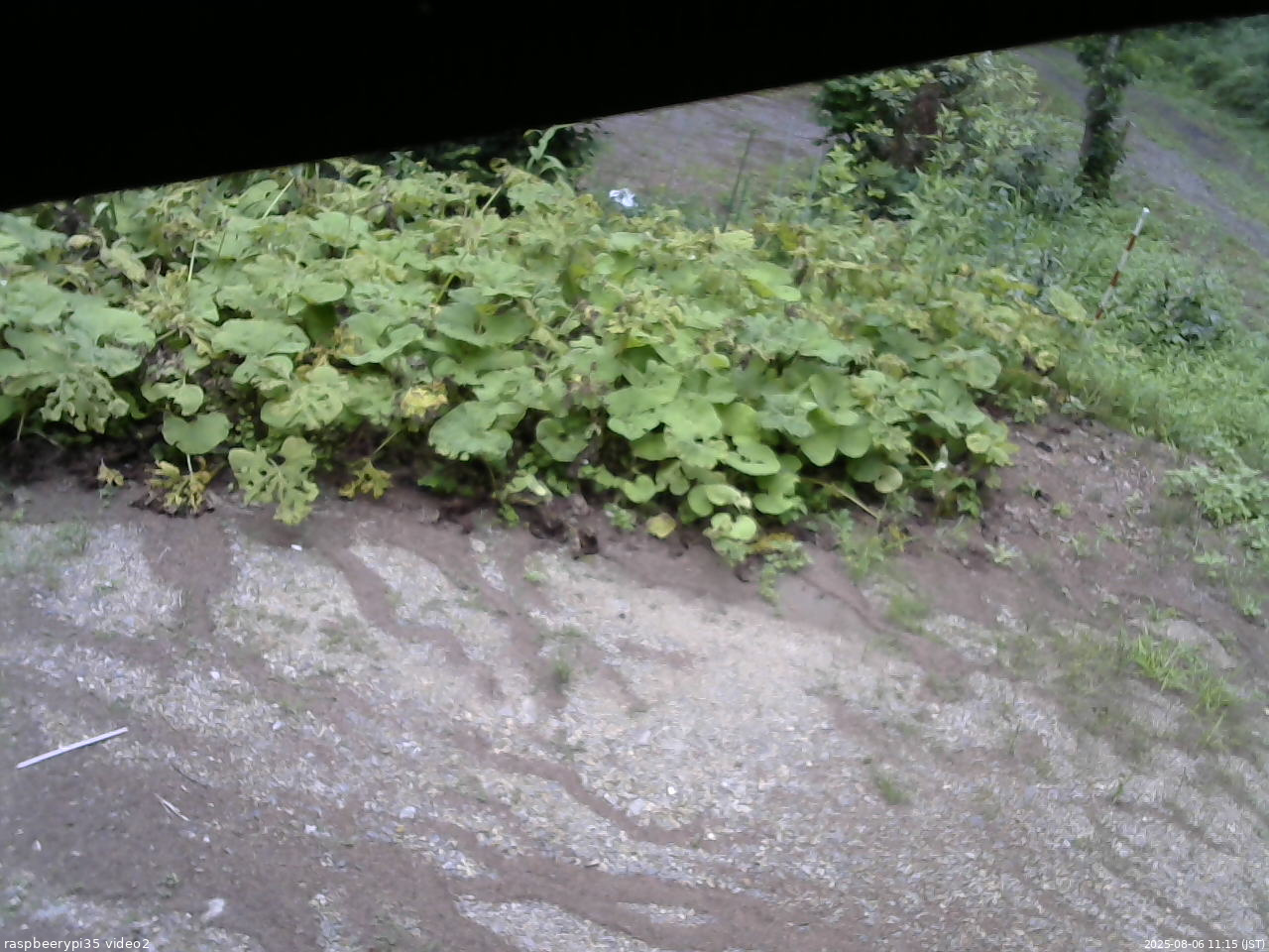 長野県菅平高原 ゆたか山荘 駐車場 2025/08/06 11:15