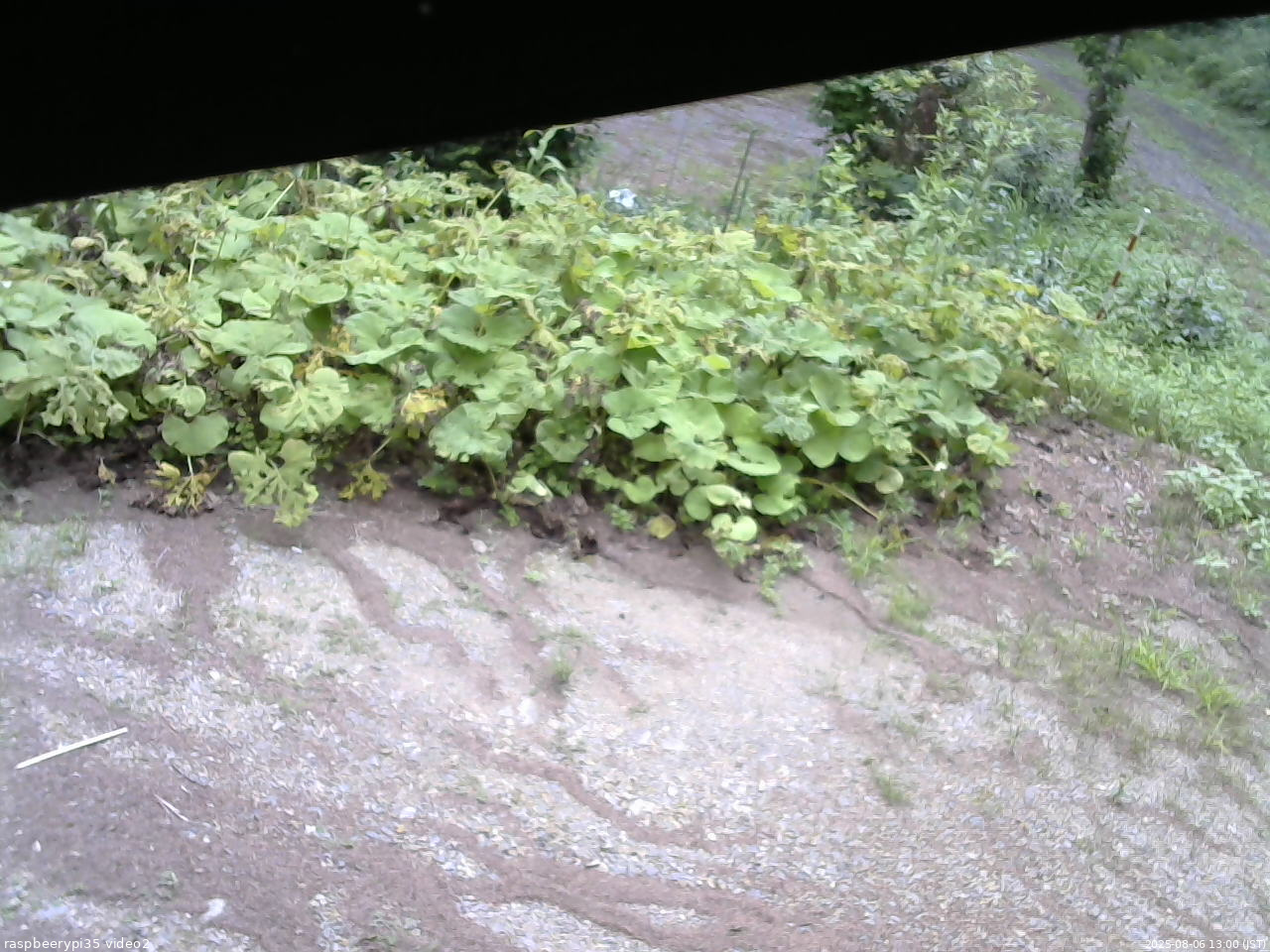 長野県菅平高原 ゆたか山荘 駐車場 2025/08/06 13:00