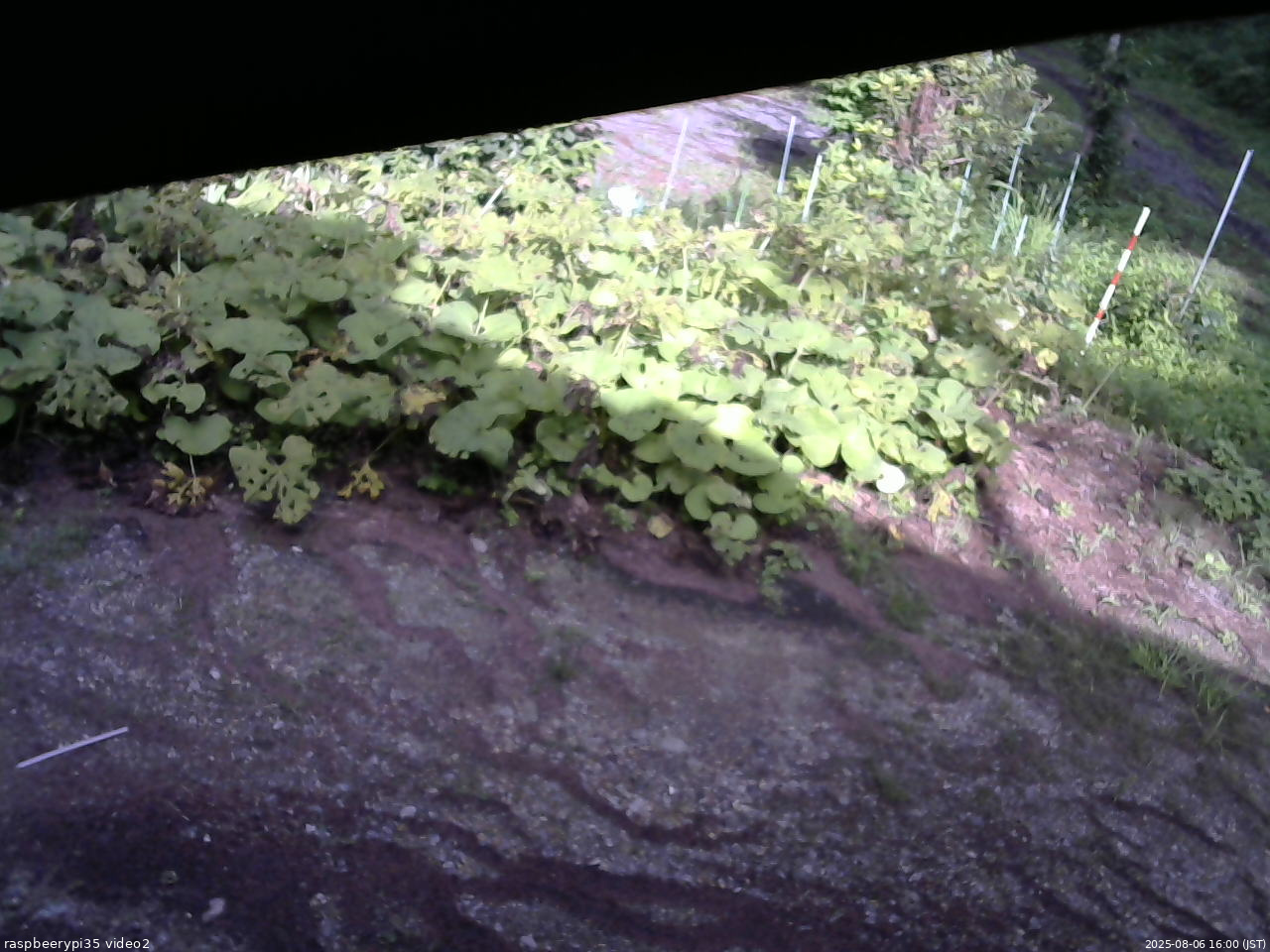 長野県菅平高原 ゆたか山荘 駐車場 2025/08/06 16:00