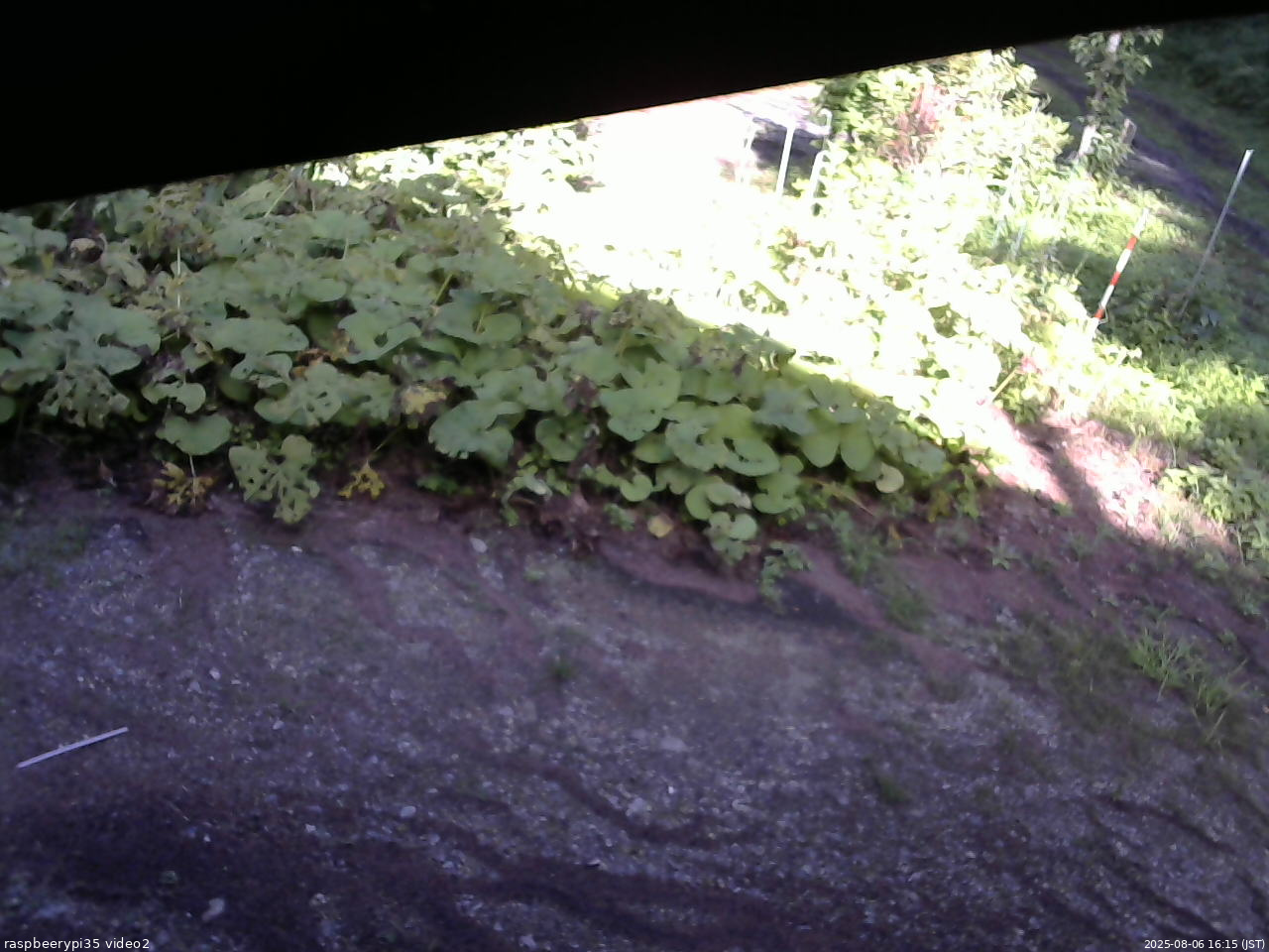 長野県菅平高原 ゆたか山荘 駐車場 2025/08/06 16:15