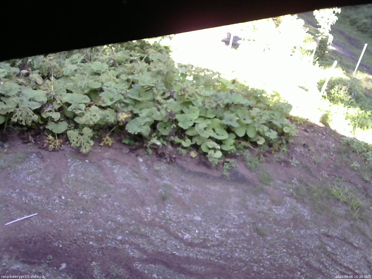 長野県菅平高原 ゆたか山荘 駐車場 2025/08/06 16:30