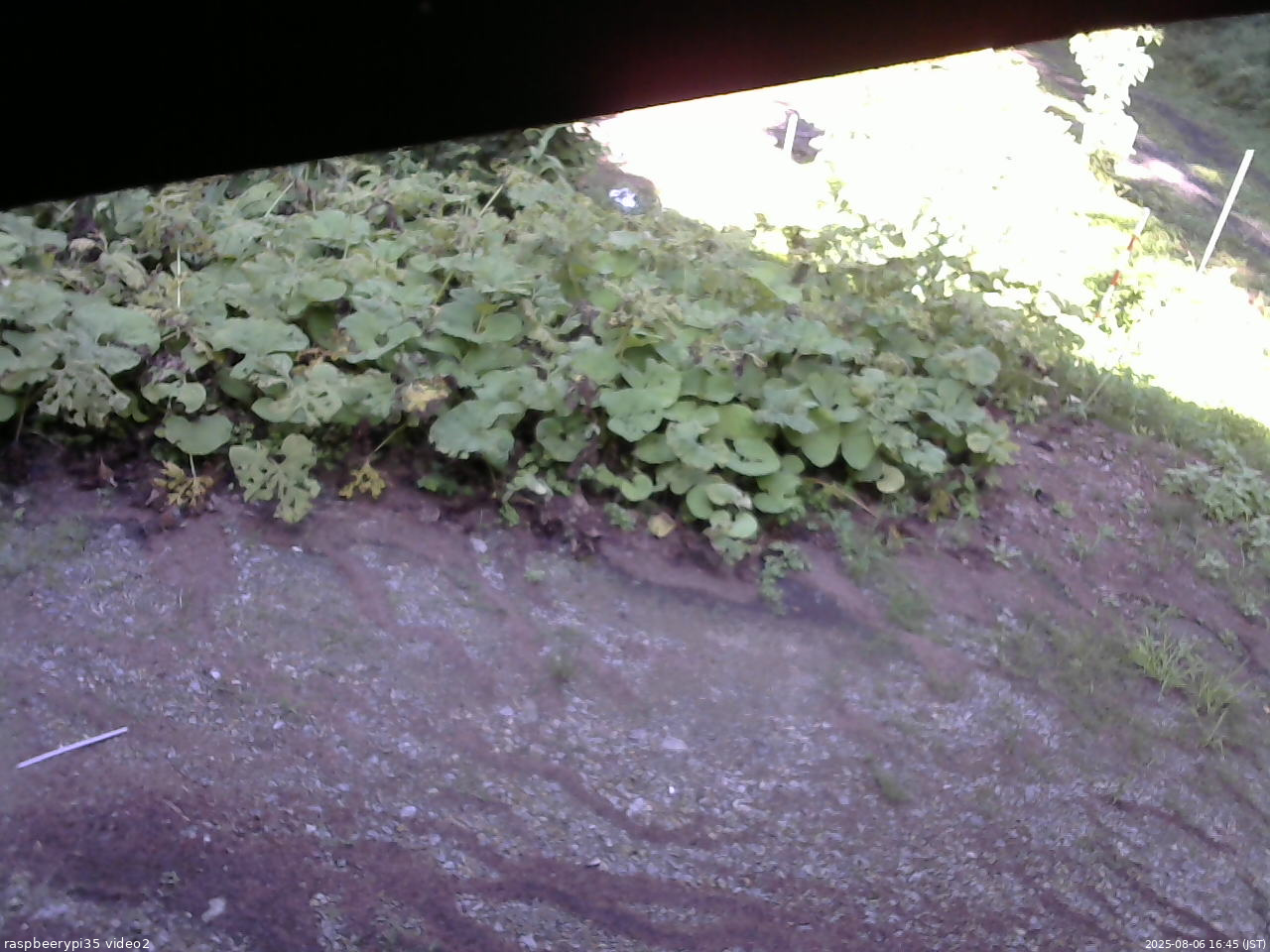 長野県菅平高原 ゆたか山荘 駐車場 2025/08/06 16:45