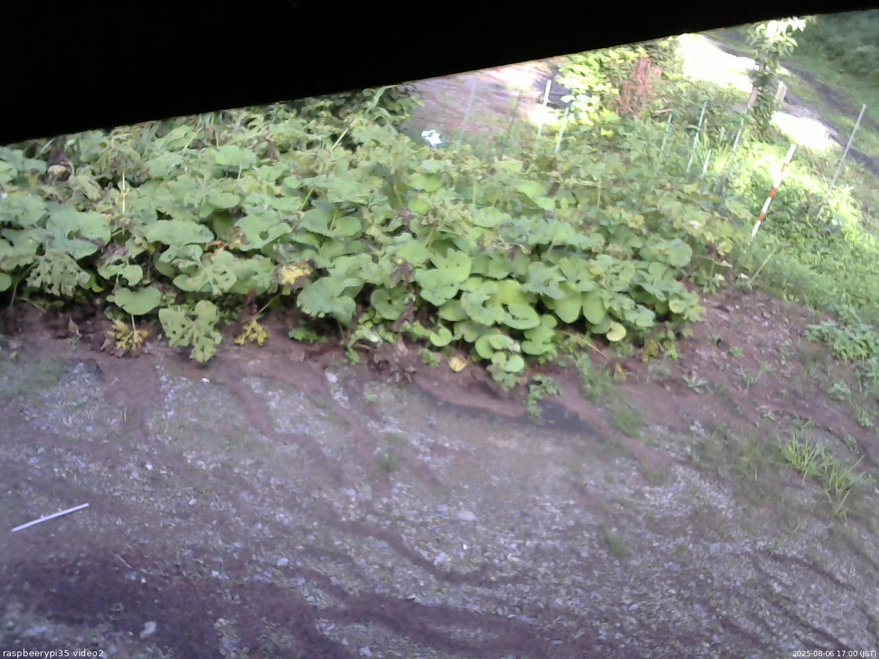 長野県菅平高原 ゆたか山荘 駐車場 2025/08/06 17:00