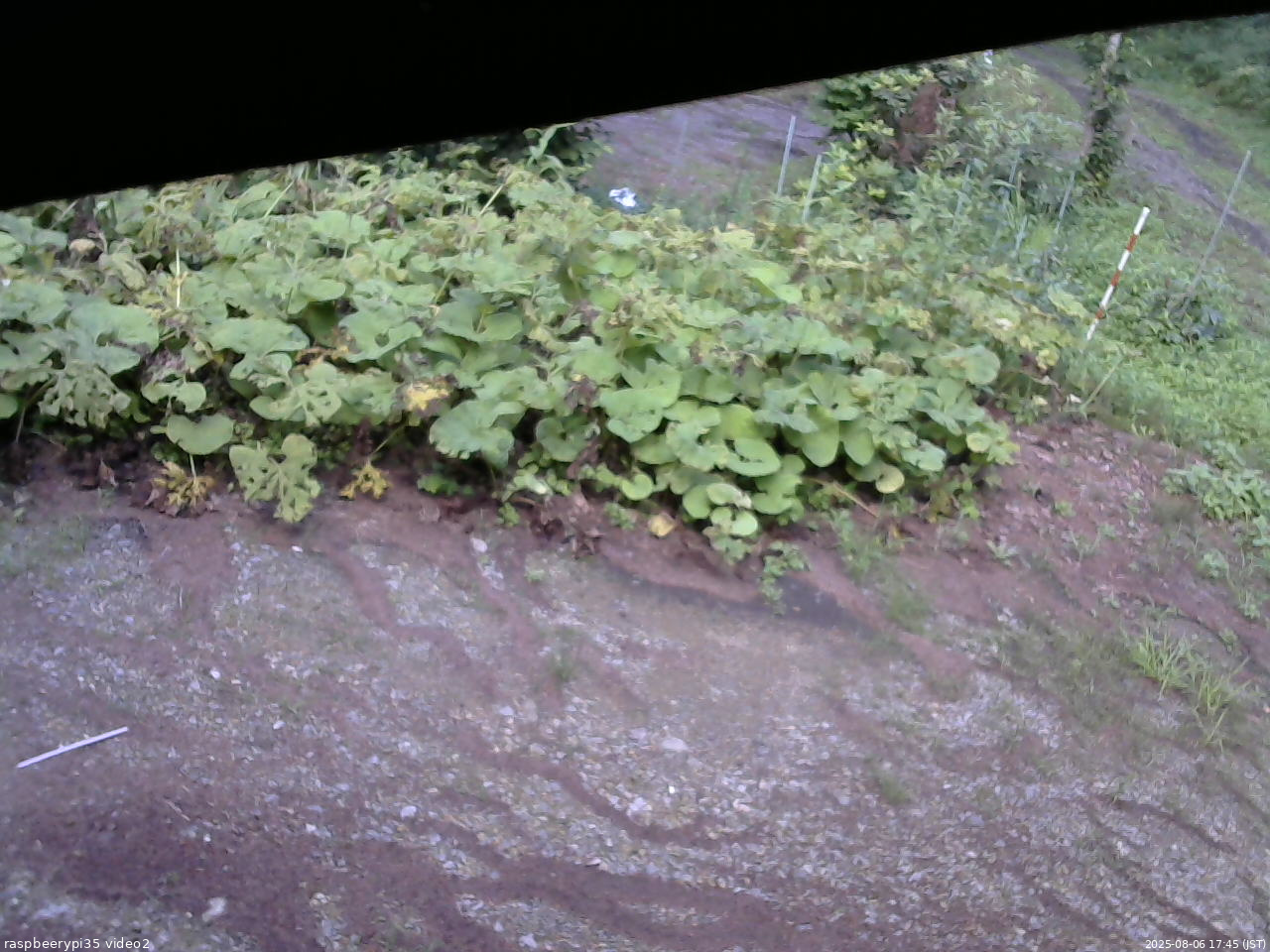 長野県菅平高原 ゆたか山荘 駐車場 2025/08/06 17:45