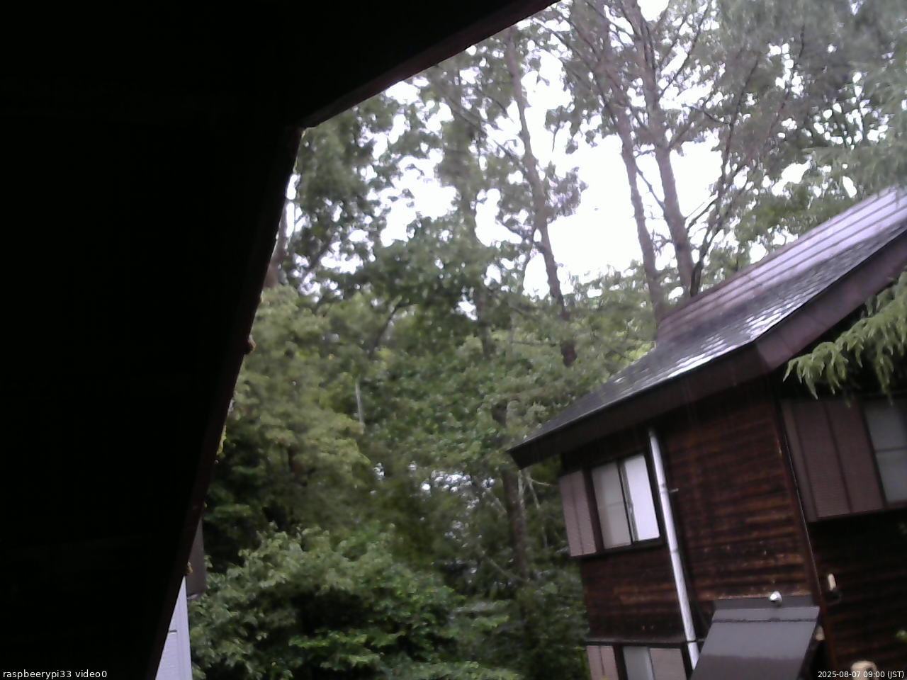 長野県菅平高原 ゆたか山荘 北側 2025/08/07 09:00