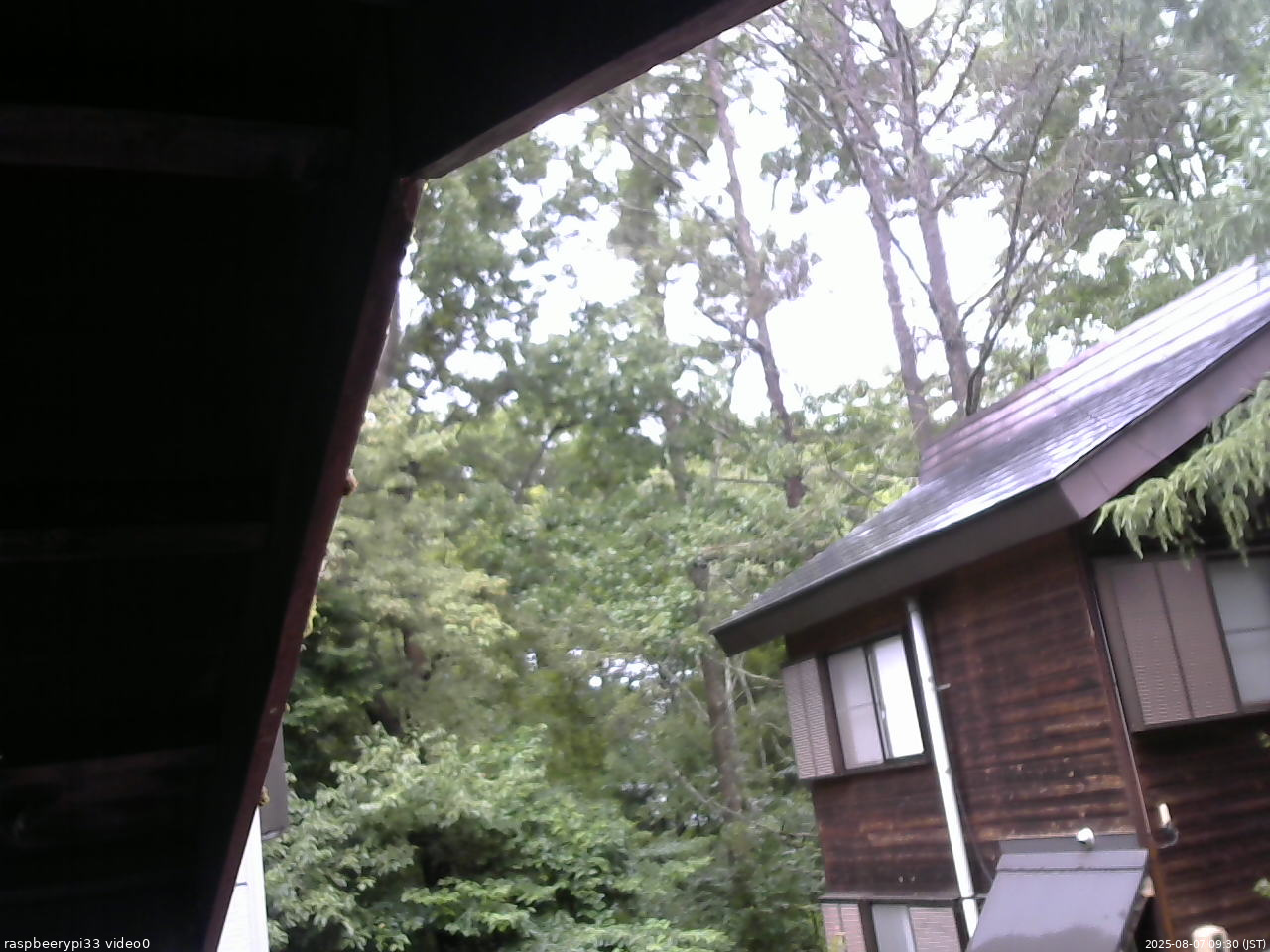 長野県菅平高原 ゆたか山荘 北側 2025/08/07 09:30