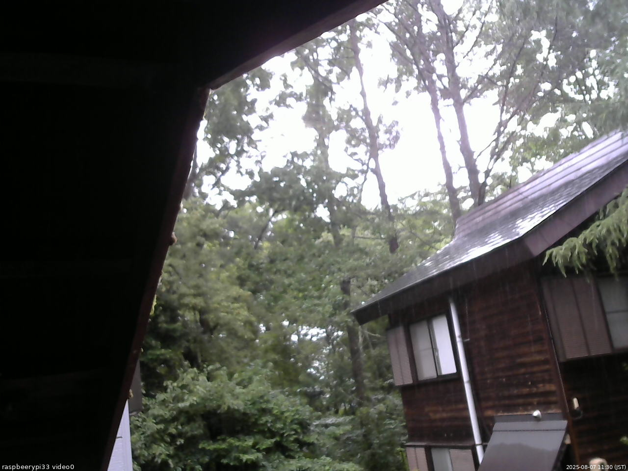 長野県菅平高原 ゆたか山荘 北側 2025/08/07 11:30