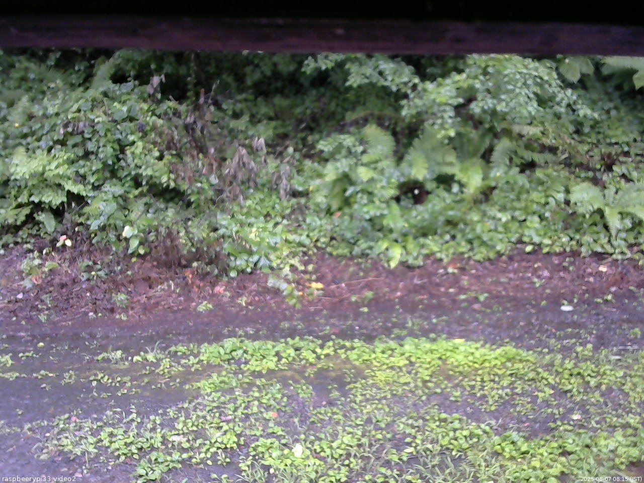 長野県菅平高原 ゆたか山荘 南側 2025/08/07 08:15