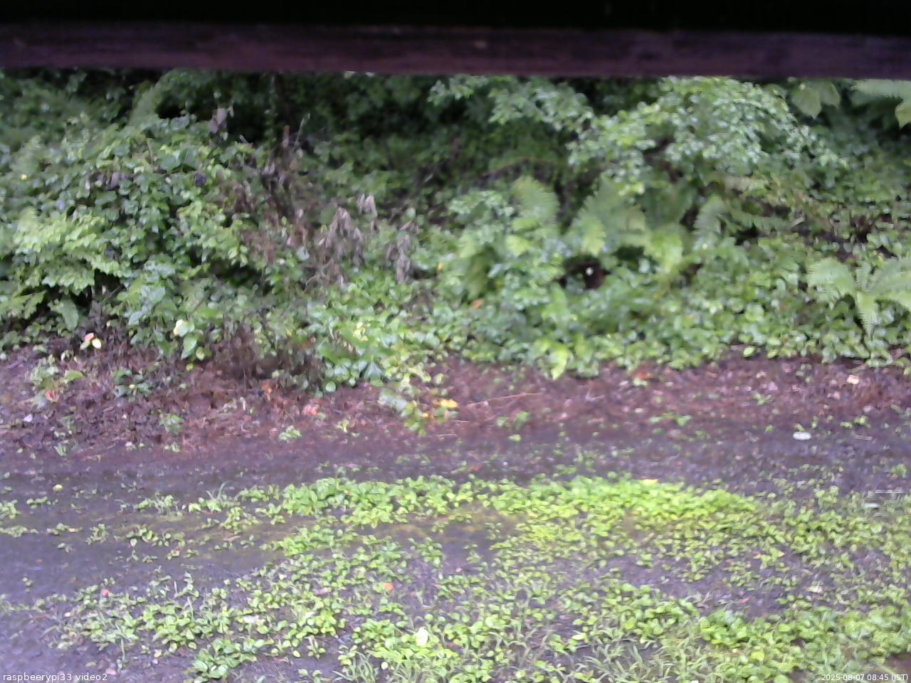長野県菅平高原 ゆたか山荘 南側 2025/08/07 08:45