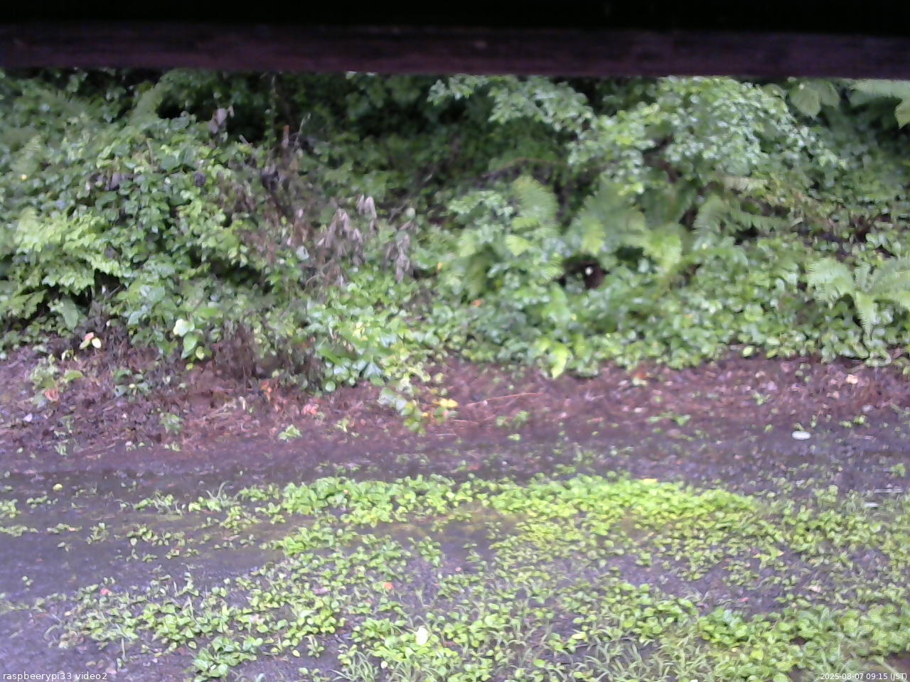 長野県菅平高原 ゆたか山荘 南側 2025/08/07 09:15