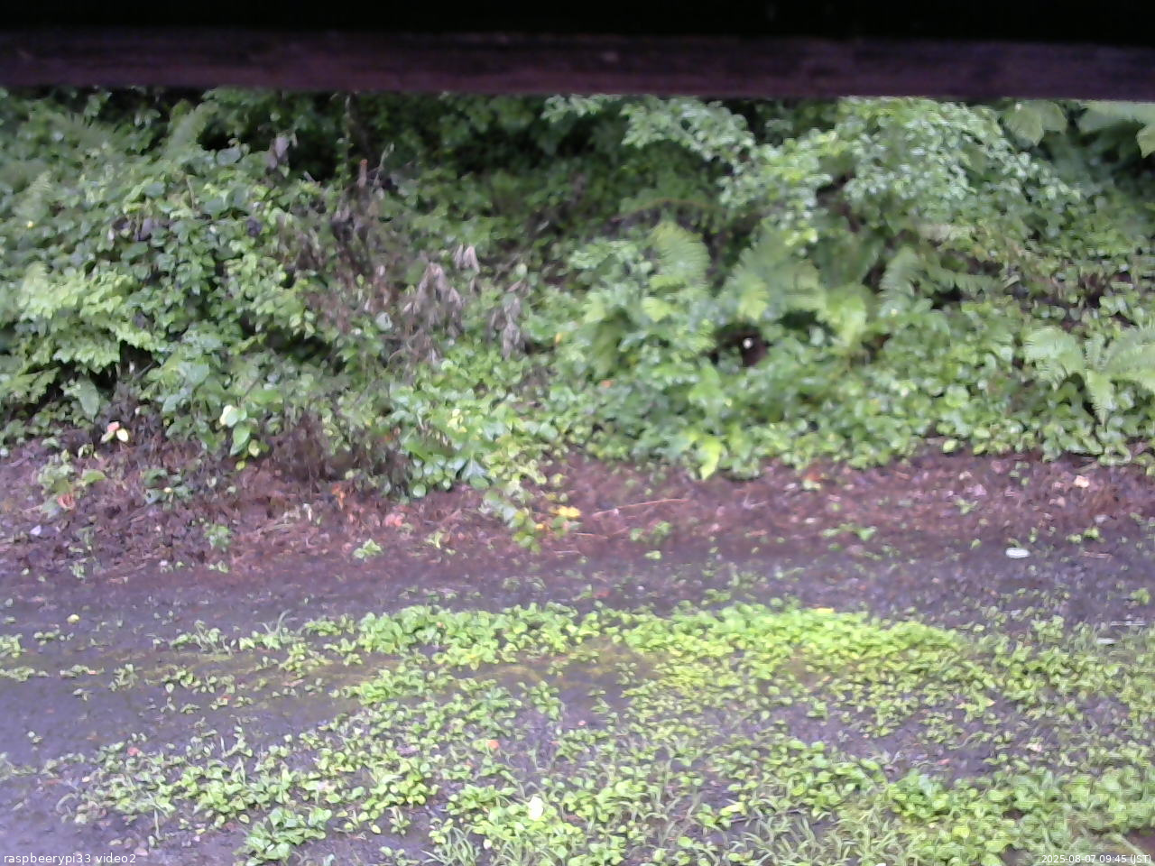 長野県菅平高原 ゆたか山荘 南側 2025/08/07 09:45