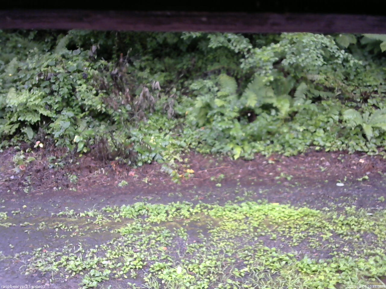 長野県菅平高原 ゆたか山荘 南側 2025/08/07 10:45