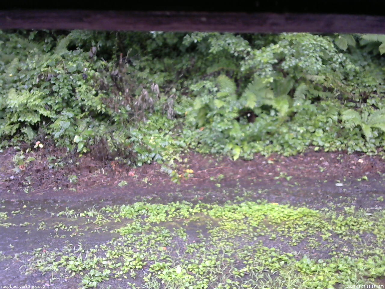 長野県菅平高原 ゆたか山荘 南側 2025/08/07 11:15