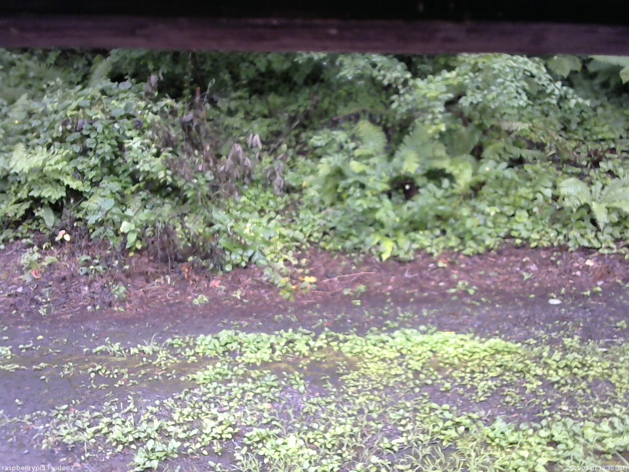 長野県菅平高原 ゆたか山荘 南側 2025/08/07 12:30