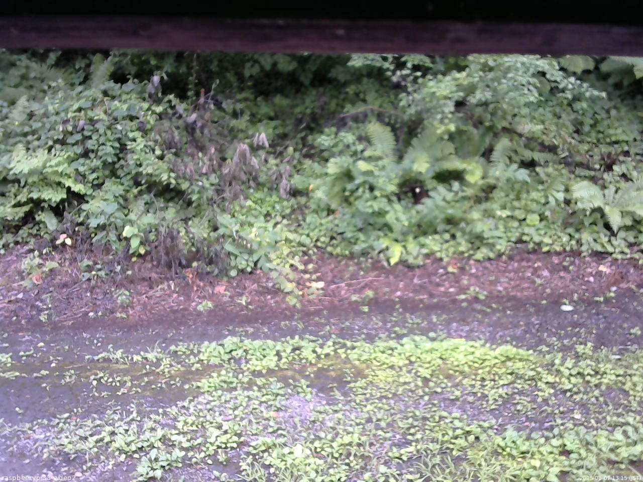 長野県菅平高原 ゆたか山荘 南側 2025/08/07 13:15