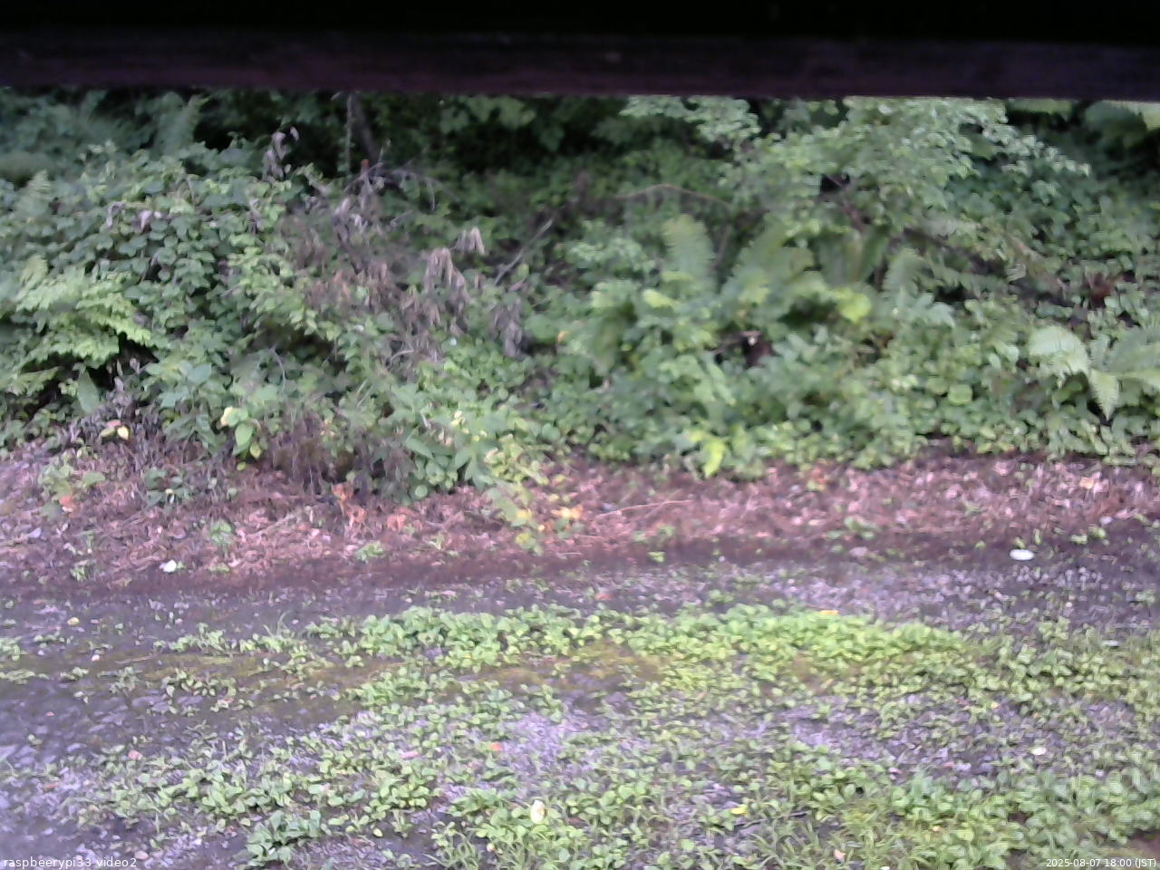 長野県菅平高原 ゆたか山荘 南側 2025/08/07 18:00