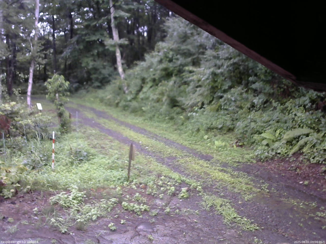 長野県菅平高原 ゆたか山荘 東側(坂下) 2025/08/07 09:00