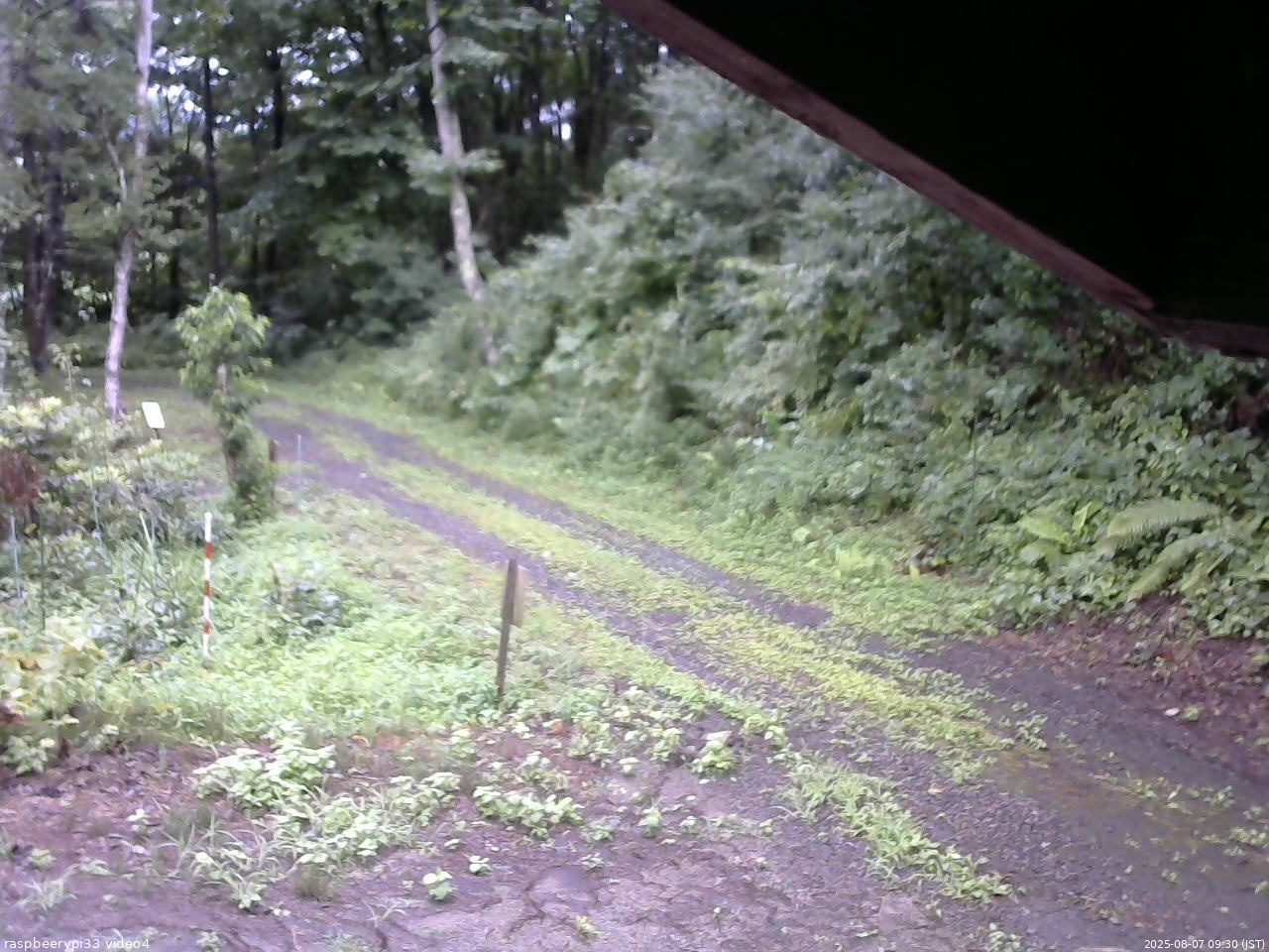 長野県菅平高原 ゆたか山荘 東側(坂下) 2025/08/07 09:30