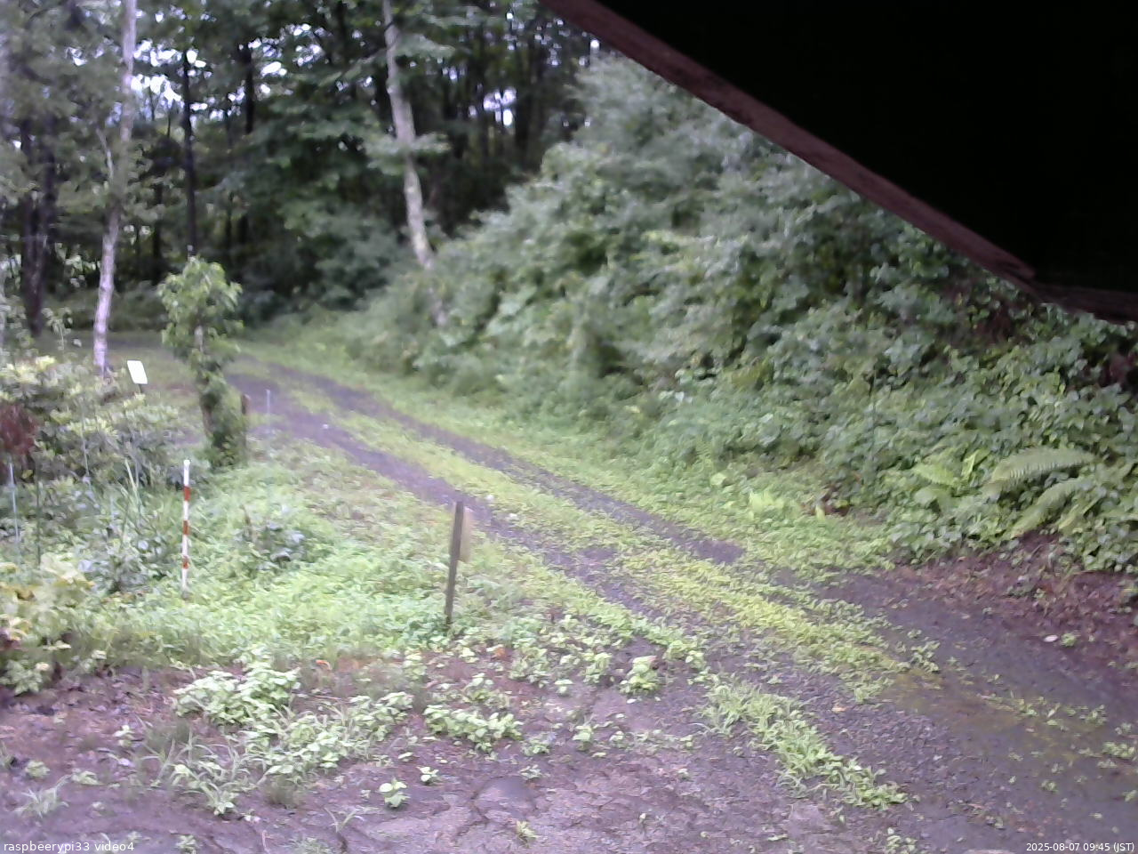 長野県菅平高原 ゆたか山荘 東側(坂下) 2025/08/07 09:45