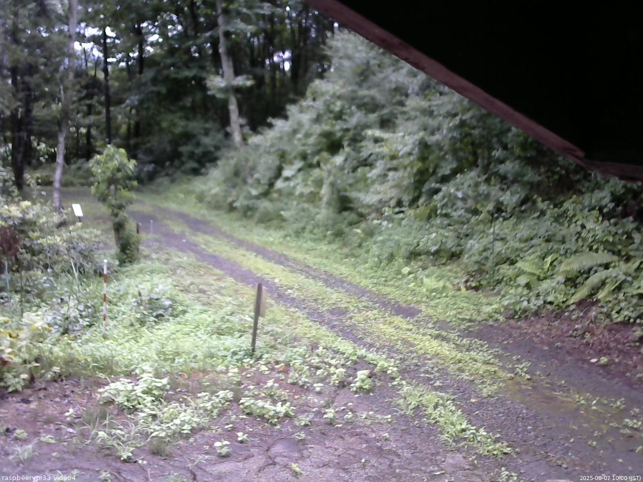 長野県菅平高原 ゆたか山荘 東側(坂下) 2025/08/07 10:00