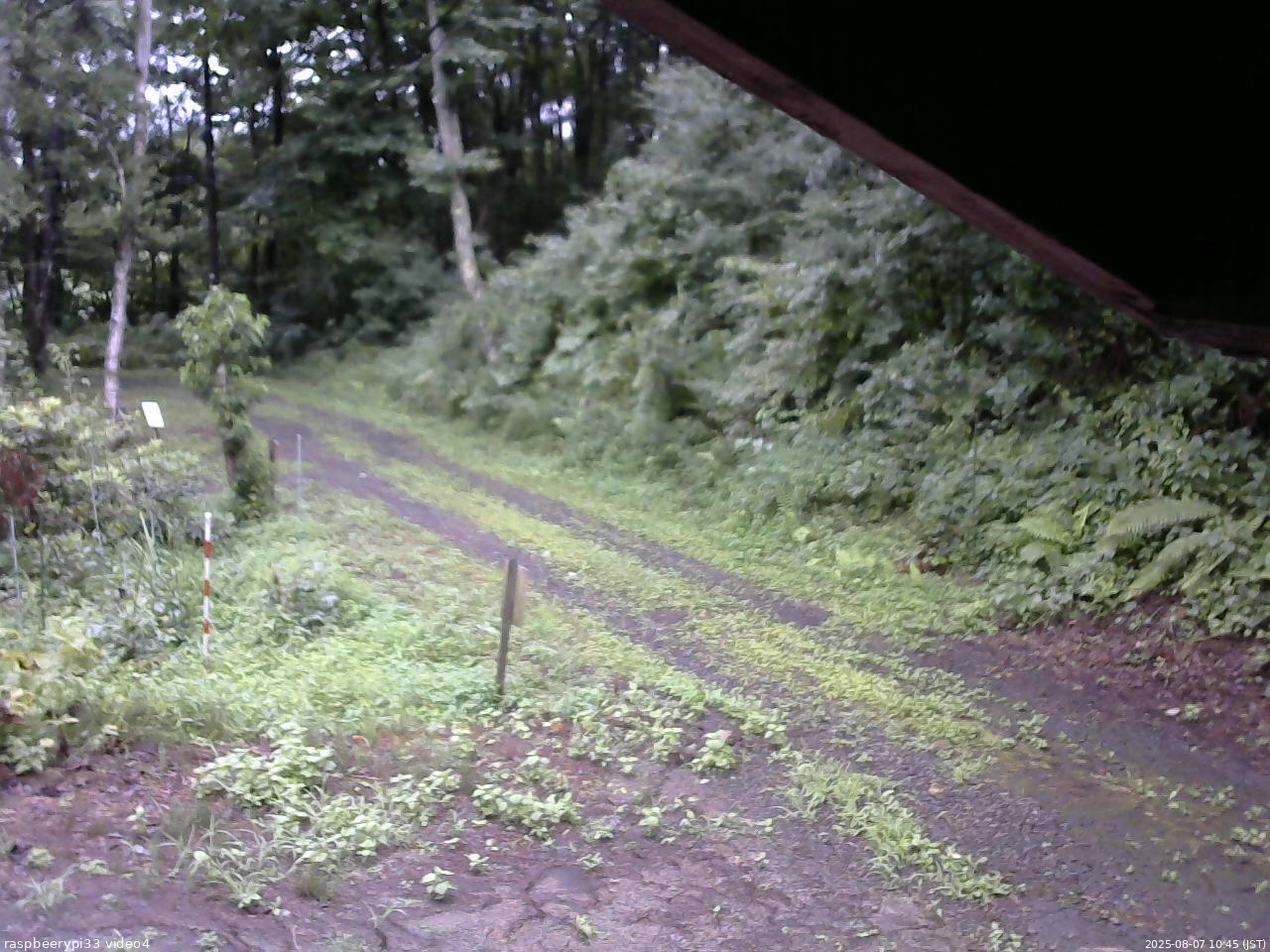 長野県菅平高原 ゆたか山荘 東側(坂下) 2025/08/07 10:45