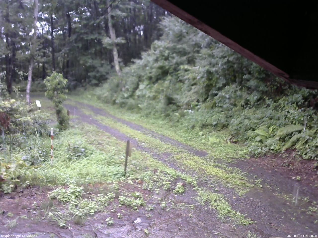 長野県菅平高原 ゆたか山荘 東側(坂下) 2025/08/07 11:00