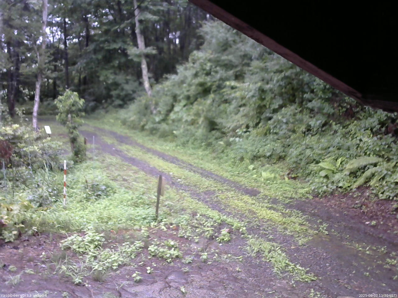 長野県菅平高原 ゆたか山荘 東側(坂下) 2025/08/07 11:30