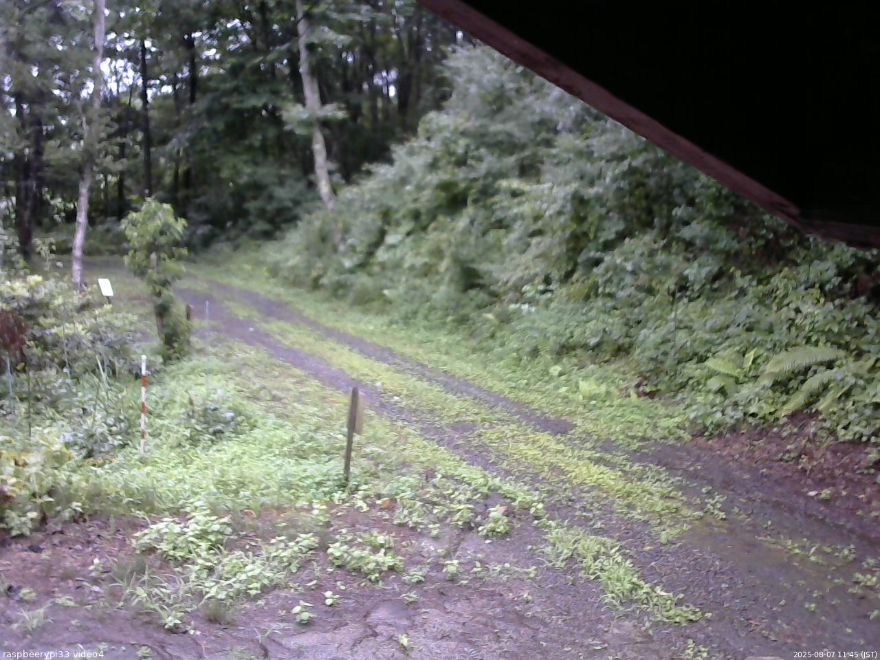 長野県菅平高原 ゆたか山荘 東側(坂下) 2025/08/07 11:45