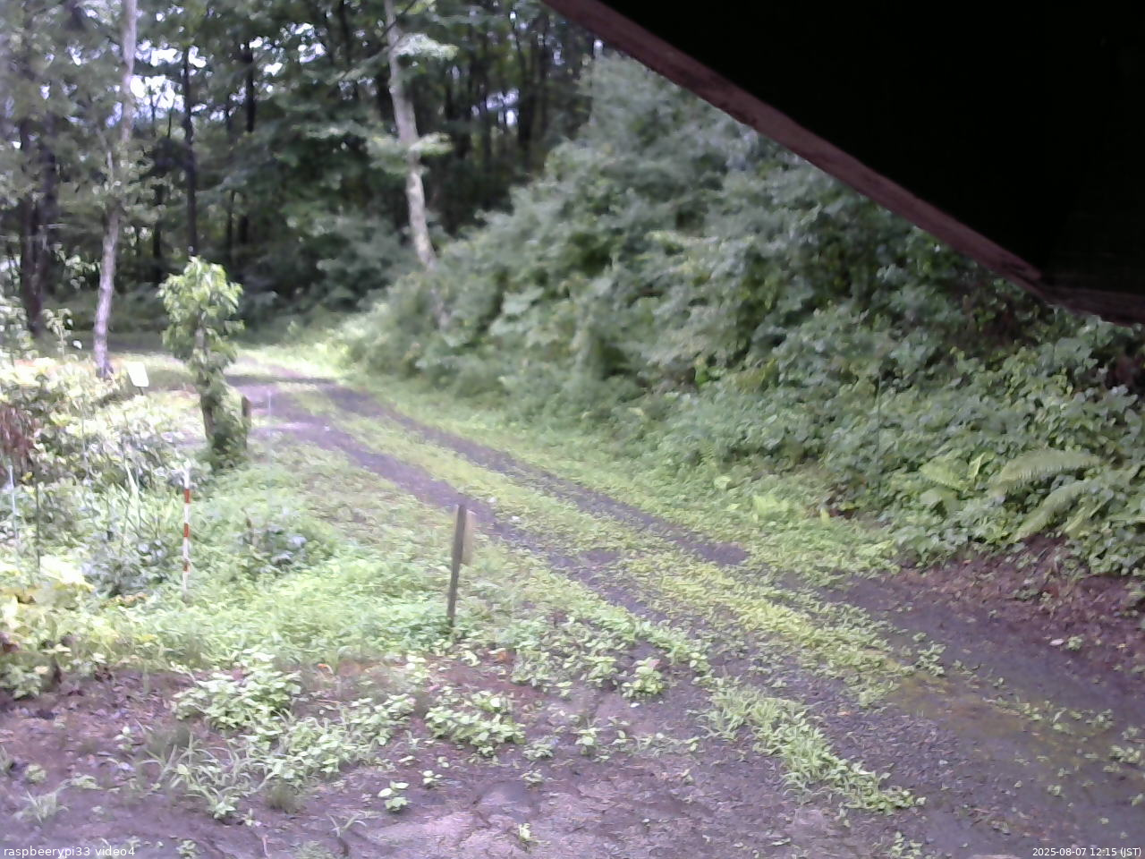 長野県菅平高原 ゆたか山荘 東側(坂下) 2025/08/07 12:15