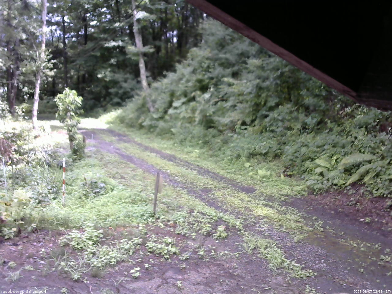 長野県菅平高原 ゆたか山荘 東側(坂下) 2025/08/07 12:45