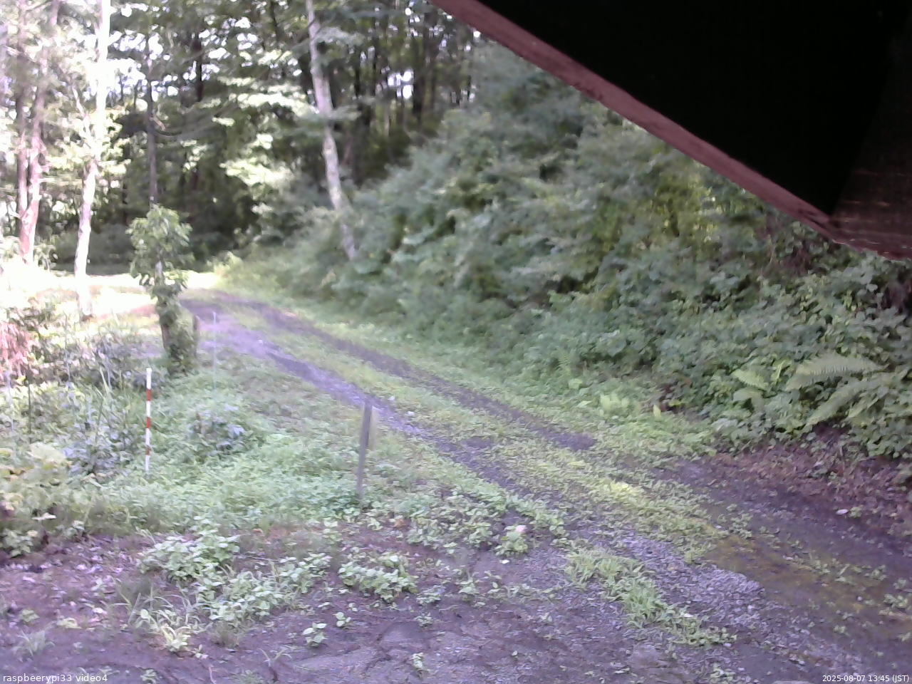 長野県菅平高原 ゆたか山荘 東側(坂下) 2025/08/07 13:45