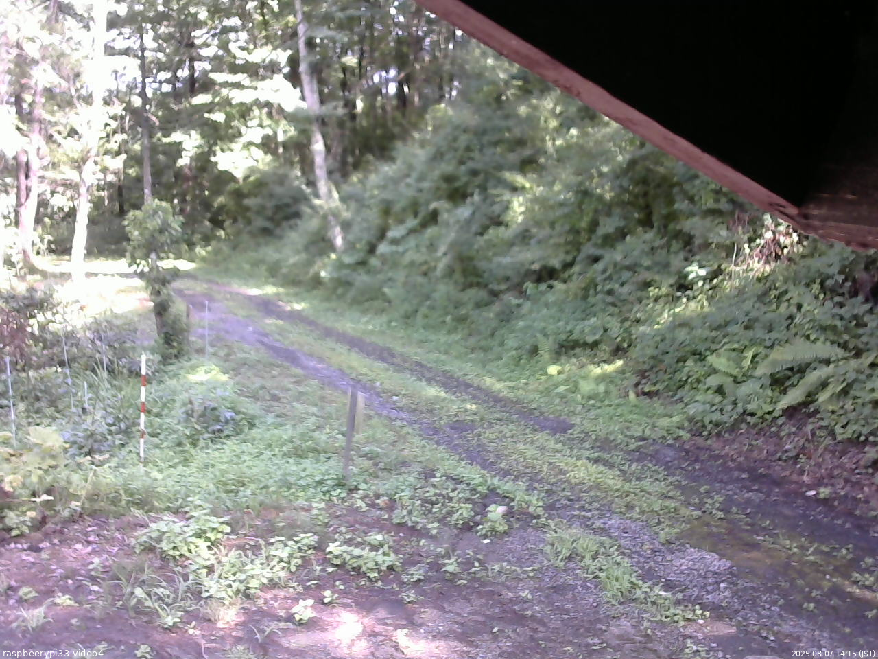 長野県菅平高原 ゆたか山荘 東側(坂下) 2025/08/07 14:15