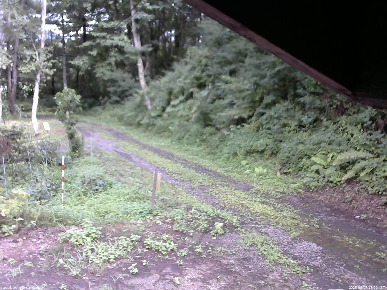 長野県菅平高原 ゆたか山荘 東側(坂下) 2025/08/07 15:00
