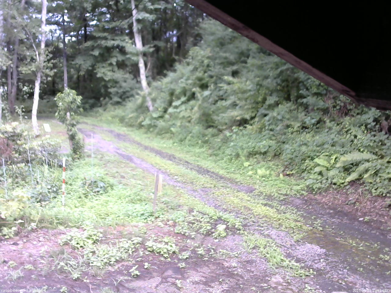 長野県菅平高原 ゆたか山荘 東側(坂下) 2025/08/07 15:45