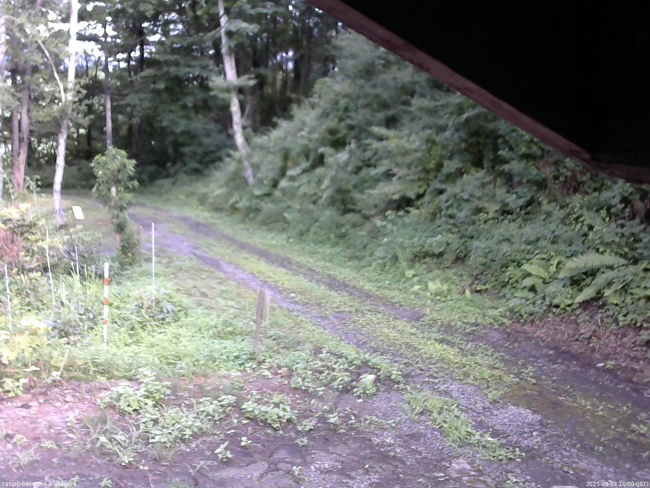 長野県菅平高原 ゆたか山荘 東側(坂下) 2025/08/07 16:00
