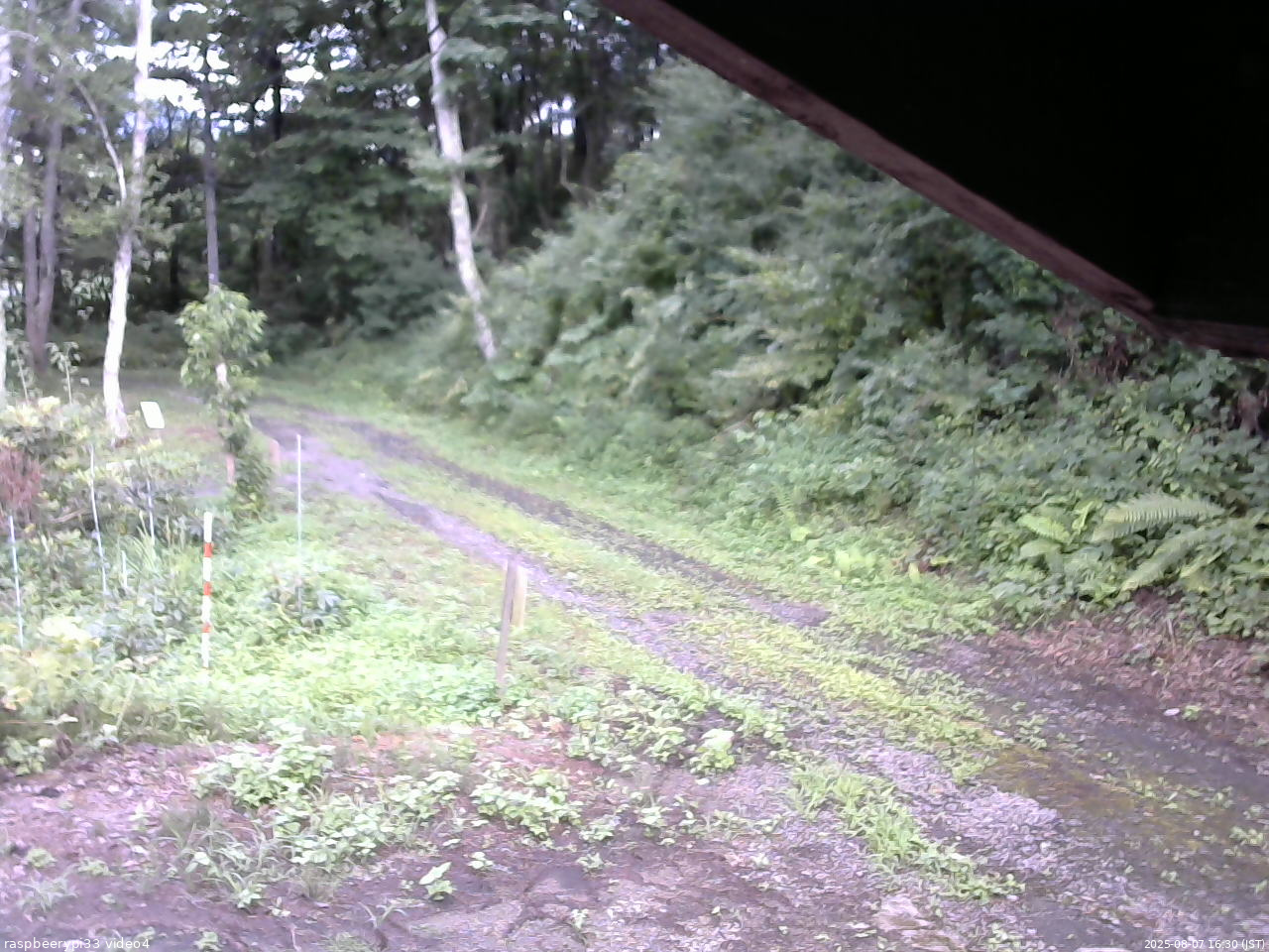 長野県菅平高原 ゆたか山荘 東側(坂下) 2025/08/07 16:30