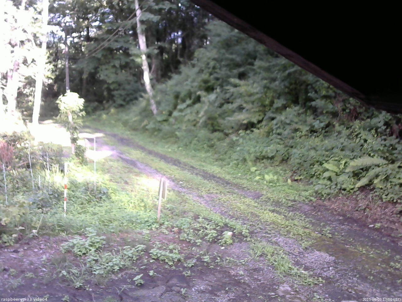 長野県菅平高原 ゆたか山荘 東側(坂下) 2025/08/07 17:00